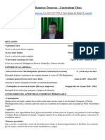 Curriculum Vitae - Matias Gerardo Ramirez Troncoso