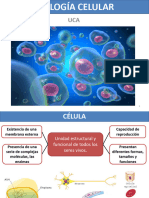 02 - Biología Celular