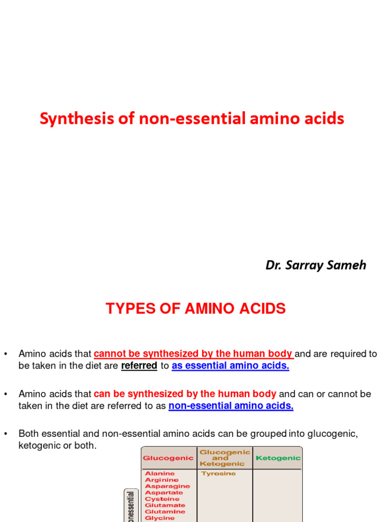 Non-Essential Amino Acid Synthesis | PDF | Biosynthesis | Amino Acid