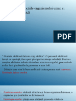 Funcţiile organismului uman şi baza lor anatomică cl 6