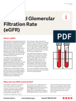 KHA Factsheet eGFR 2023