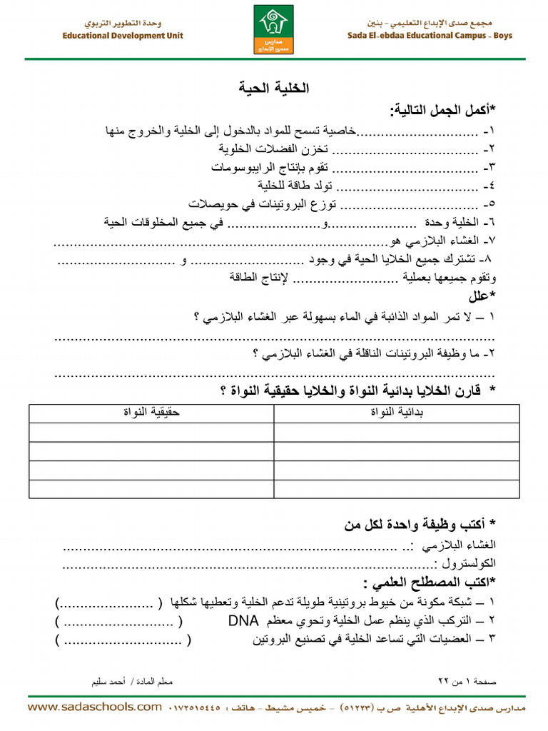 3-pdf