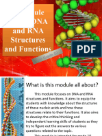 Dna and Rna Structure