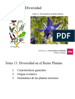 Tema 13. Plantas 3