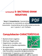 2020-Unidad 3- Tema 3. Campylobacter