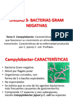 2020-Unidad 3 - Tema 3. Campylobacter