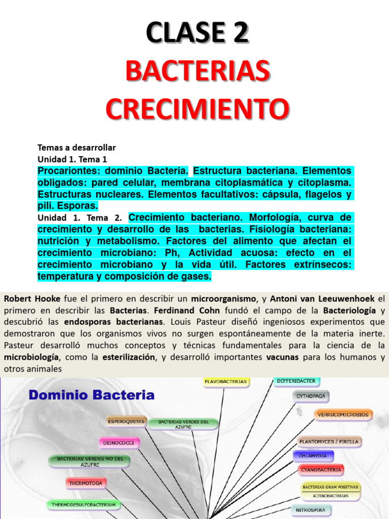 Estructura y Crecimiento de Bacterias | PDF | Las bacterias | Bacterias ...