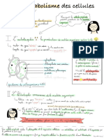 Cellules Et Mtabolisme