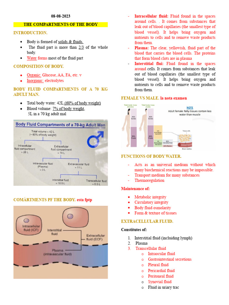 Body Fluid Compartments and Functions | PDF | Human Body | Blood