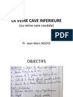 La Veine Cave Inferieure 2022