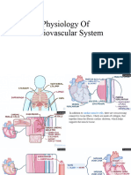 Physiology of Cardiovascular System
