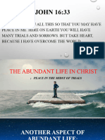 Abundant Life