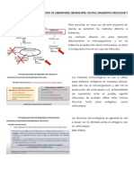 Clase 4 Microbiología.