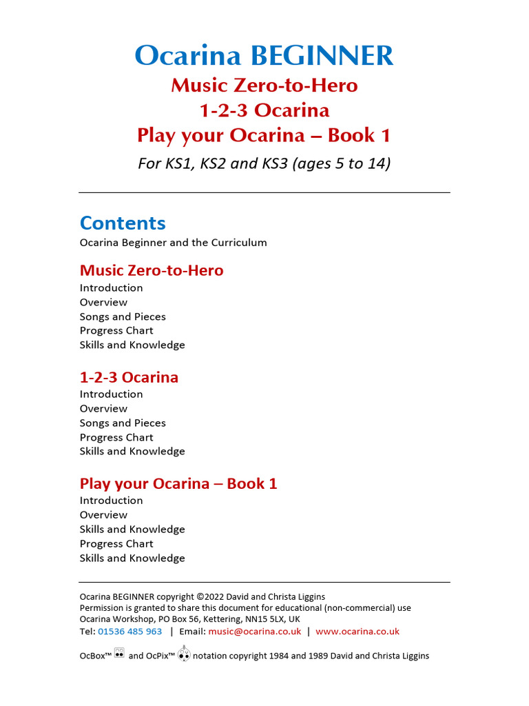Beginner Introduction | PDF | Performing Arts | Musicology