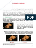 TP - Morphologie D'un Primate Fossile - Myriam Khouadja, Sarra Lajnef, Tale 2