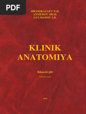 Salavat qizlarining porno suratlari