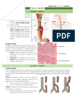 ACD 5 PATOLOGIA Sistema Digestório
