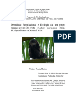 Datasheet Macaco Prego