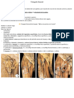 Triangulo Femoral