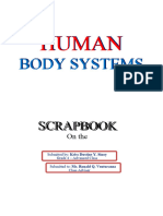 Human Body Systems - Scrapbook Texts