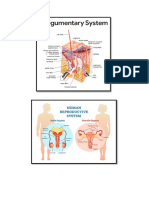 Human Body Systems - Scrapbook Pics