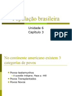 População Brasileira