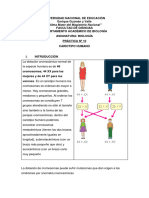 Practicas de Biología #10