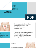 The Female Reproductive System Student