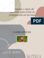 Garrapatas y Tipos de Pastoreo para Evitar Su