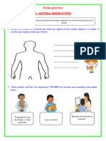 Ficha Sistema Respiratorio