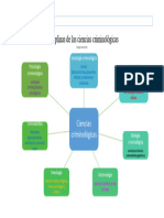 Mapa Mental Ciencias Criminologicas