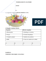 TD Revision Sur Biologie Et Anatomie