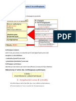 Chapitre 5 Antifongiques