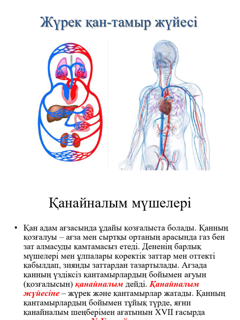 Қанша қарт әйелдерді былғайды