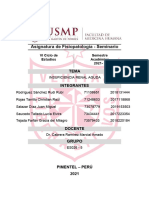 Informe Ira