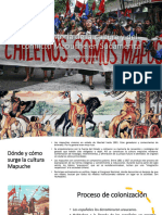 Breve Historia de La Cultura y Del Conflicto Mapuche en Sudamérica
