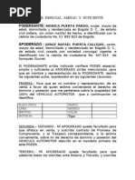 Poder Amplio y Suficiente