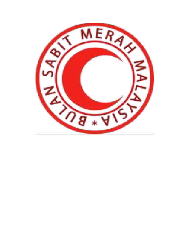 Logo bsmm pdf