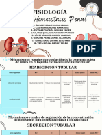 Homeostasis Renal