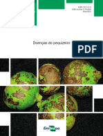 Doenças Do Pequizeiro: Documentos