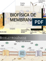1 D - Bioeletrogênese 2 - Slides