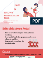 Gravidez e Sistema Imune Eritoblastose Fetal