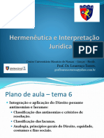 Hermeneutica e Interpretação - Aula 6 2024.1