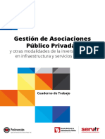 Gestión de Asociaciones Público Privadas y Otras Modalidades de La Inversión Privada en Infraestructura y Servicio Públicos