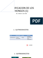 Clasificacion de Los Hongos