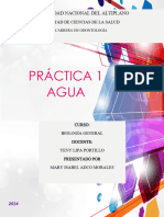 Práctica 1 Agua