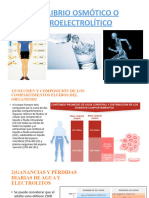 EQUILIBRIO OSMÓTICO O HIDROELECTROLÍTICO, Anatomia Exp