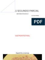 Láminas Del 2do y 3er Parcial Anatomía Patológica 2 (Modificado)