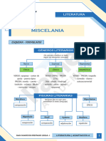 LITERATURA - ADAP 4 (2) - Editado