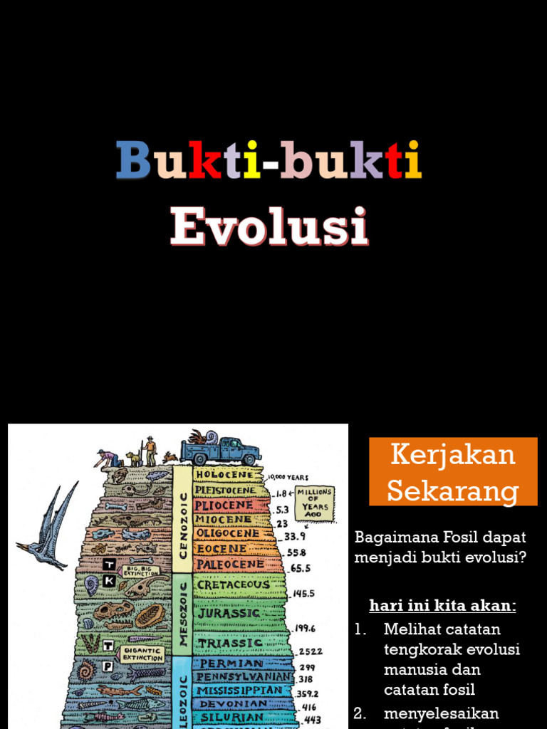 Bukti Fosil dan Evolusi Manusia | PDF